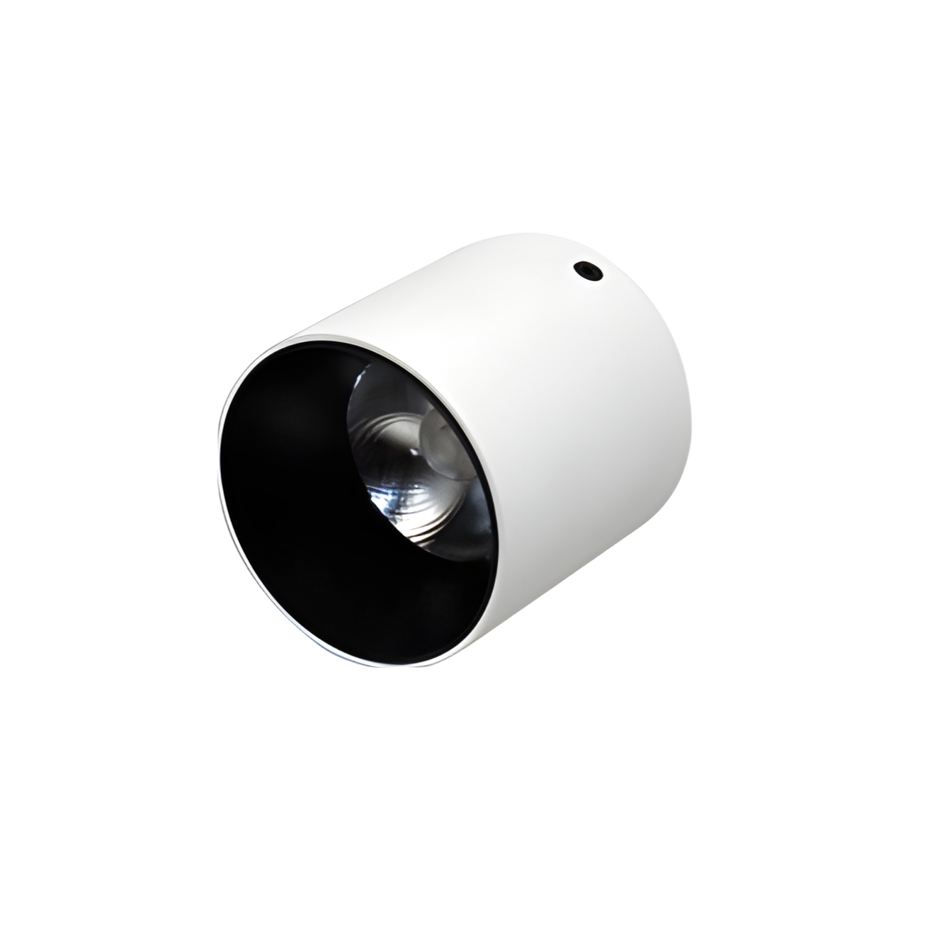 Surface/Track/Recessed Led Spot Light
